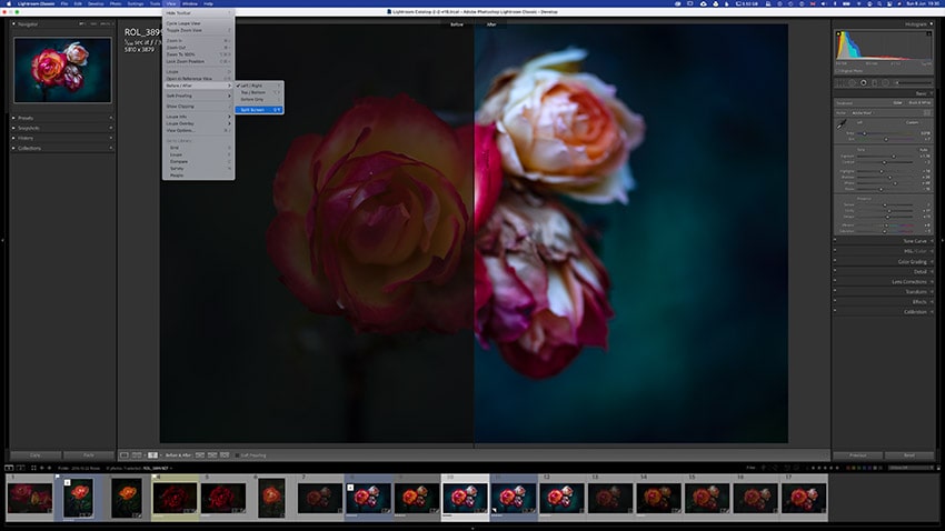 Before and After in Lightroom left right split view