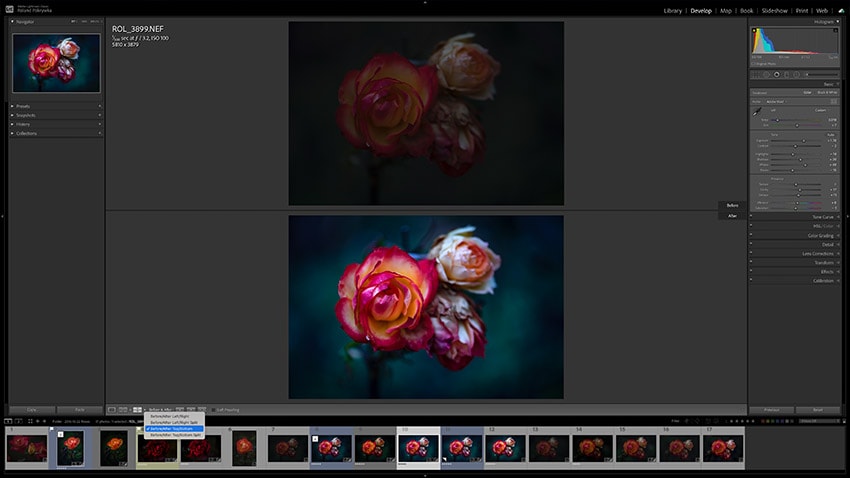 Before and After in Lightroom top-bottom view