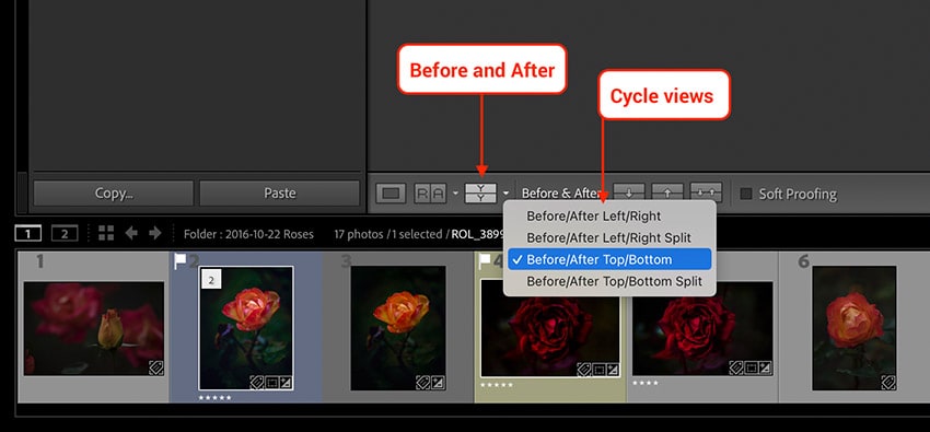 Lightroom Classic cycle between Before After views