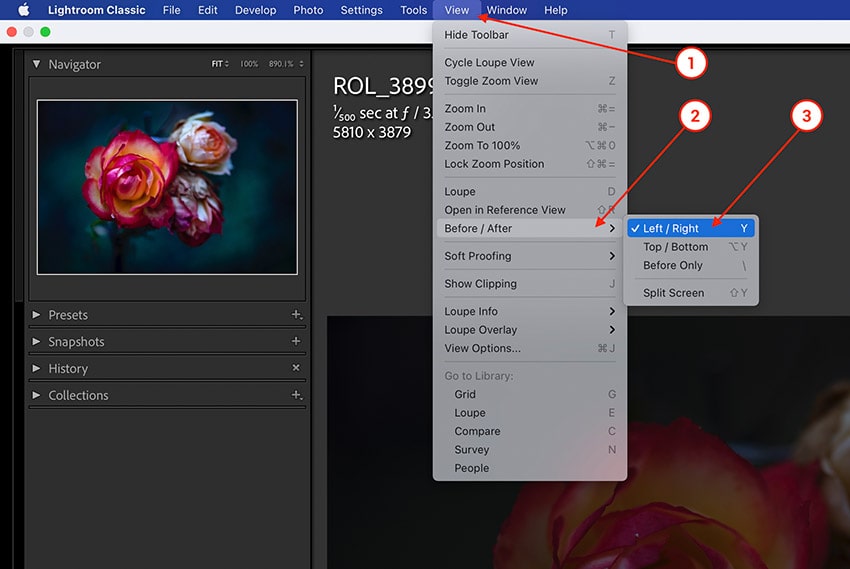 Lightroom Classic access menu and select View > Before After options