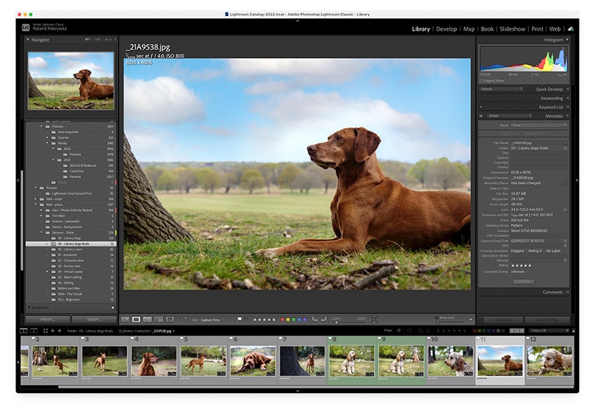E – Loupe view in Lightroom Classic E – Loupe view in Lightroom Classic