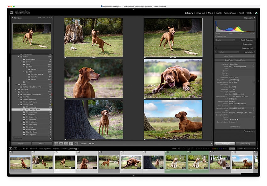 N – Survey view in Lightroom Classic N – Survey view in Lightroom Classic