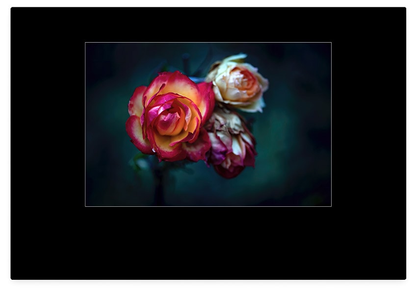 Press L twice to make screen turn black how to use lights out mode in Lightroom Classic