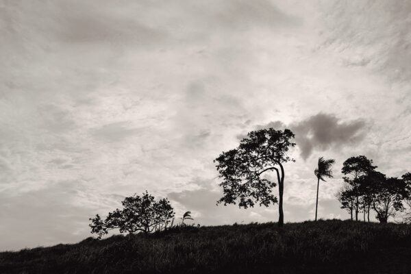 Panorama of a grassy hill top - black and white silhouette photography technique - Roland Pokrywka